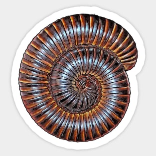 Archispirostreptus gigas African giant millipede Sticker